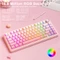 Aula F75 Pro, Pink Translucent Gradient, LEDs RGB, hot-swap, LEOBOG Feather, USB/Bluetooth, US Vorschaubild