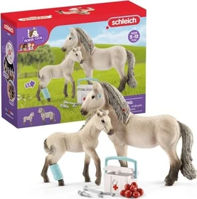 Schleich Horse Club - Playset Hannahs Erste-Hilfe-Set