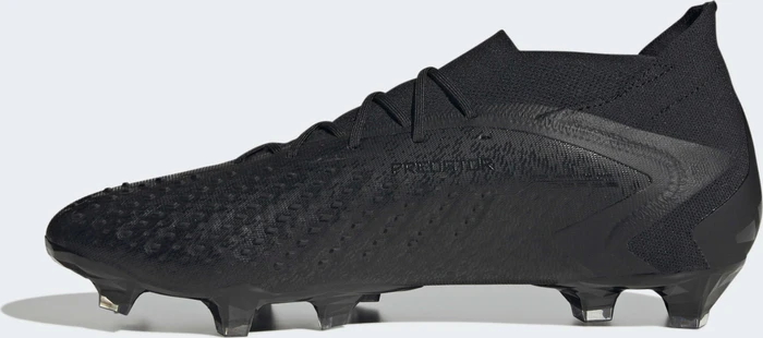 adidas Predator Accuracy.1 FG core black/cloud white