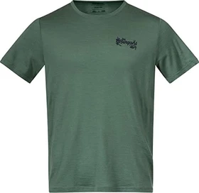 Bergans Graphic Wool Tee Funktionsshirt kurzarm dark jade green/navy blue (Herren)