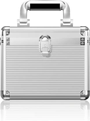 RaidSonic Icy Box IB-AC628 Schutzkoffer, 2.5"/3.5"