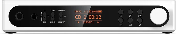 FiiO DM15 R2R schwarz
