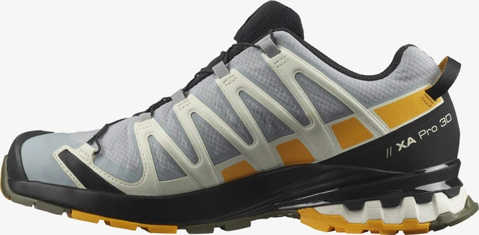 Salomon XA Pro 3D V8 GTX quarry/saffron/olive night (Herren)