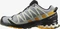 Salomon XA Pro 3D V8 GTX quarry/saffron/olive night (Herren) Vorschaubild