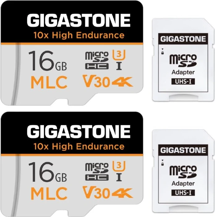Gigastone 10x High Endurance R95/W30 16GB Kit, UHS-I U3, Class 10, 2er-Pack