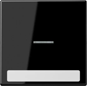 Jung Serie LS Wippe mit Lichtleiter und Schriftfeld 1fach, schwarz