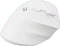 Natec Crake 2 Vertical Wireless Mouse weiß, USB/Bluetooth Vorschaubild