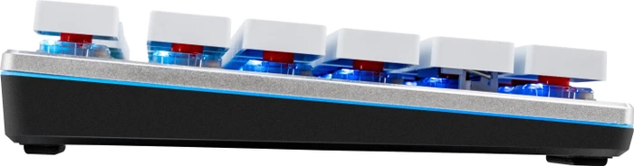Cooler Master SK630 Tenkeyless, LEDs RGB, White Limited Edition, MX LOW PROFILE RGB RED, USB, DE