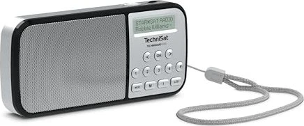 TechniSat TechniRadio RDR silber