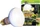 Exo Terra Reptile Daylight Basking Spot, Neodym Tageslichtlampe, 100W (PT2133)