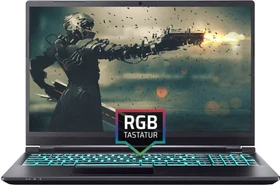 ONE GAMING K56-11NB-A1, Core i7-10870H, 32GB RAM, 1TB SSD, GeForce RTX 3080, DE (24649)