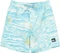 Quiksilver Everyday Printed Volley 14" Badeshorts (Junior) Vorschaubild