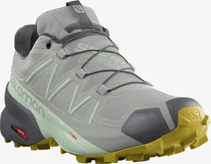 Salomon Speedcross 5 GTX wrought iron/spray/antique moss (Damen)