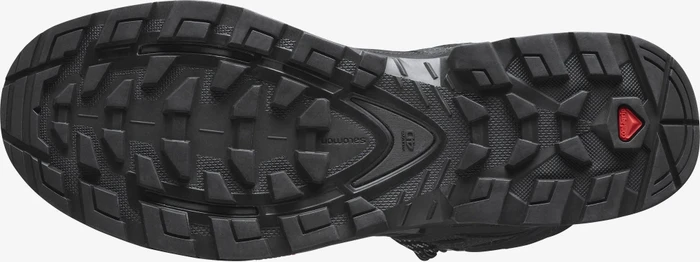 Salomon Quest 4 GTX olive night/peat/safari (Herren)