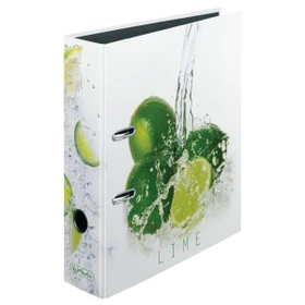 Herlitz maX.file Ordner 2-Ring mit Motiv, 80mm, A4, Fresh Fruit Limette