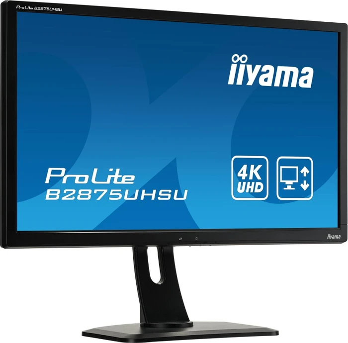 iiyama ProLite B2875UHSU-B1, 28"