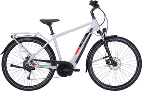Pegasus Solero Evo 9 400Wh cool grey Modell 2022 (Herren)