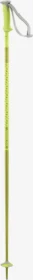 Salomon Polar Alpin Skistock neon yellow (Modell 2024/2025)