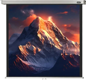 Celexon Rollo Professional 180x180cm