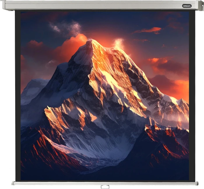 Celexon Rollo Professional 180x180cm