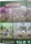 Games Workshop Warhammer Underworlds: Destruction Warbands: Gitz and Goliaths (99120799013)