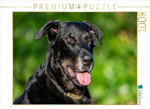 Calvendo Ein Motiv aus dem Kalender Der Beauceron