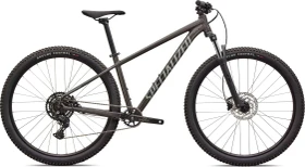 Specialized Rockhopper Sport gloss smoke Modell 2026