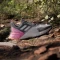 adidas Terrex Soulstride putty mauve/grey one/pink fusion (Damen) Vorschaubild