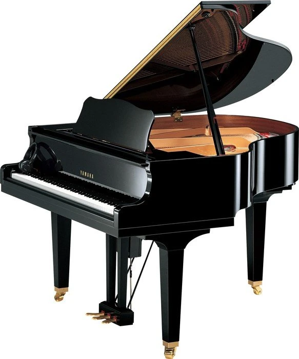 Yamaha DGB1 ENST