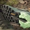 adidas Terrex Trailmaker 2.0 GTX olive strata/silver green/green spark (Herren) Vorschaubild