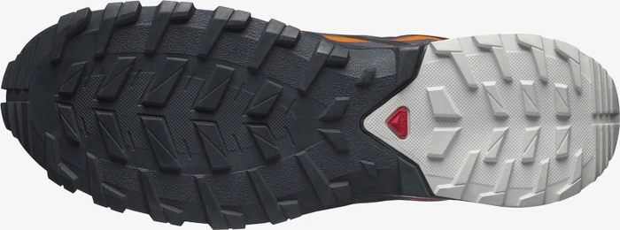 Salomon XA Rogg 2 GTX ebony/vibrant orange/lunar rock (Herren)