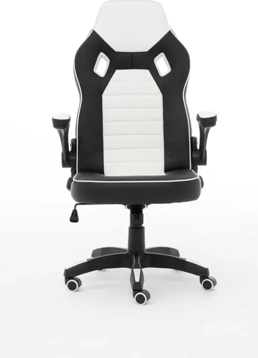 Raptor Gaming GS-50 Gamingstuhl, schwarz/weiß