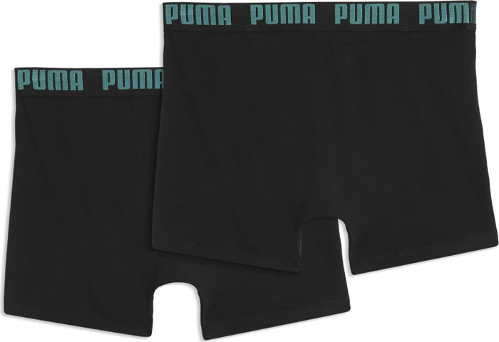 Puma 2er Boxer Briefs mint combo (Herren)