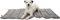 Trixie BE NORDIC Reisedecke Hooge, 100x65cm, grau Vorschaubild