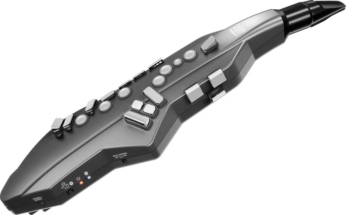 Roland Aerophone GO