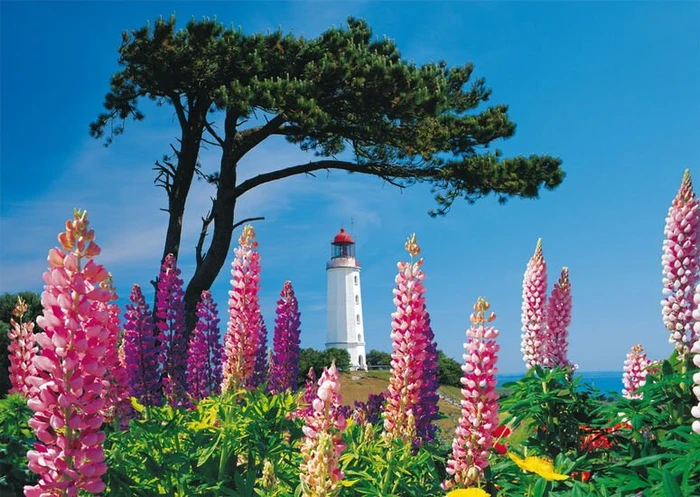 Schmidt Spiele Leuchtturm Dornbusch, Hiddensee (58067) – Bild 2 von 2