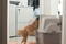 Catit SmartSift Katzentoilette mit Dach, beige Vorschaubild