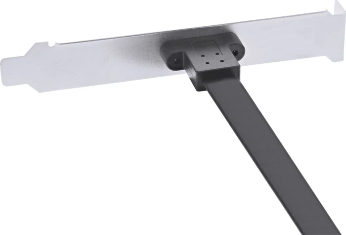 InLine Slotblende, 1x USB-C 3.1