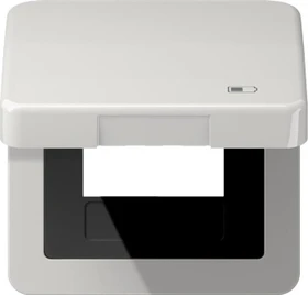 Jung Serie CD Klappdeckel Thermoplast mit Symbol "Charger", lichtgrau