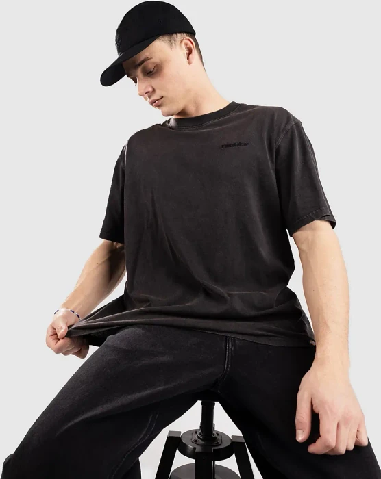 Dickies Plentywood T-Shirt kurzarm schwarz (Herren)