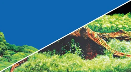Hobby Fotorückwand 100x50cm