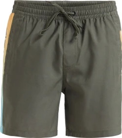 Quiksilver Everyday Holmes 16" Badeshorts grape leaf (Herren)