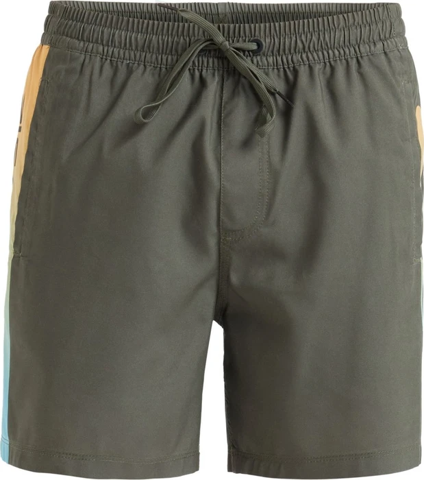 Quiksilver Everyday Holmes 16" Badeshorts grape leaf (Herren)