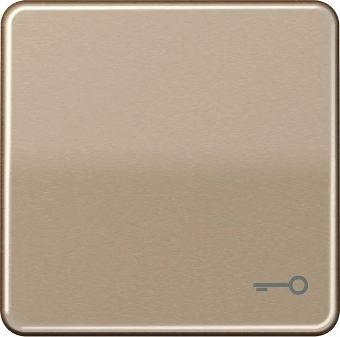 Jung Serie CD Wippe Metall mit Symbol "Tür", gold-bronze