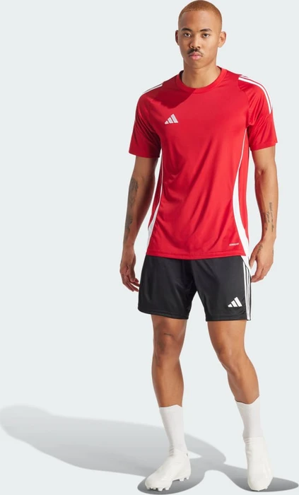 adidas Tiro 24 Trikot kurzarm team power red 2/white (Herren)