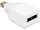 DeLOCK Mini DisplayPort/DisplayPort Adapter weiß (65239)