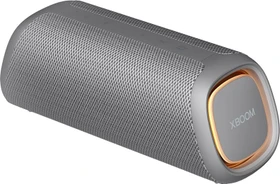 LG XBoom Go DXGQ7 grau