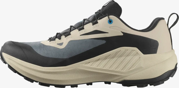 Salomon Genesis Gore-Tex (Herren)