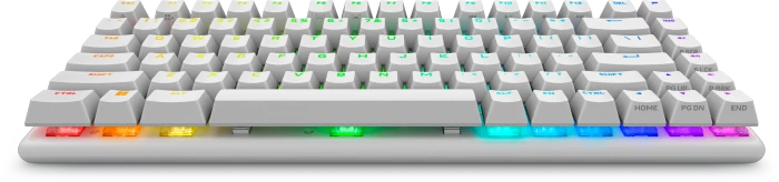 Dell Alienware Pro Wireless Gaming Keyboard, Lunar Light, 75%, LEDs RGB, hot-swap, Alienware Linear RED, USB/Bluetooth, US