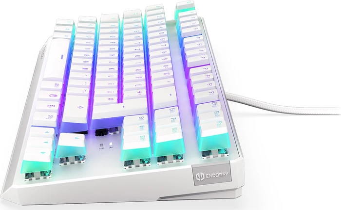 Endorfy Thock TKL Pudding, Onyx White, PBT, LEDs RGB, Kailh BROWN, USB, DE
